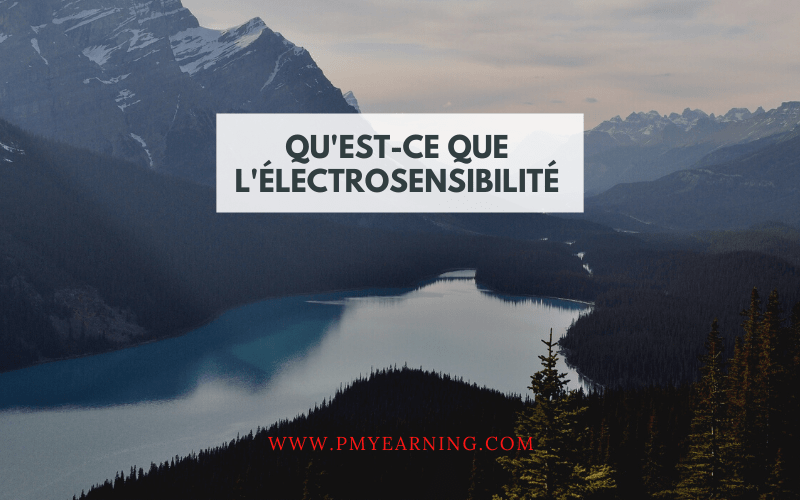 qu'est-ce que l'électrosensibilité