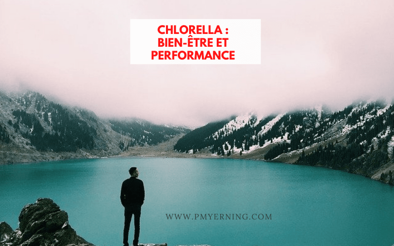 chlorella et bien-être