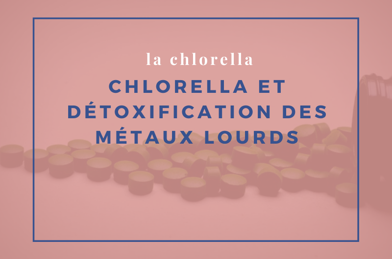 Lire la suite à propos de l’article Chlorella et détoxification des métaux lourds