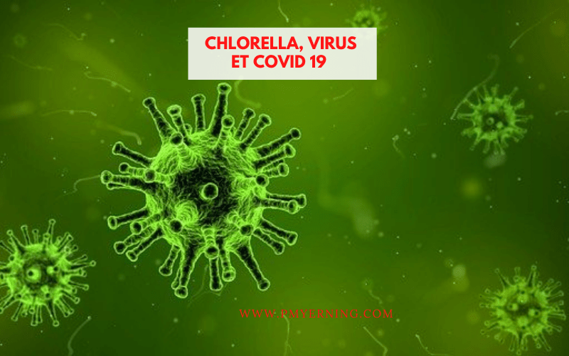 chlorella, virus et covid 19