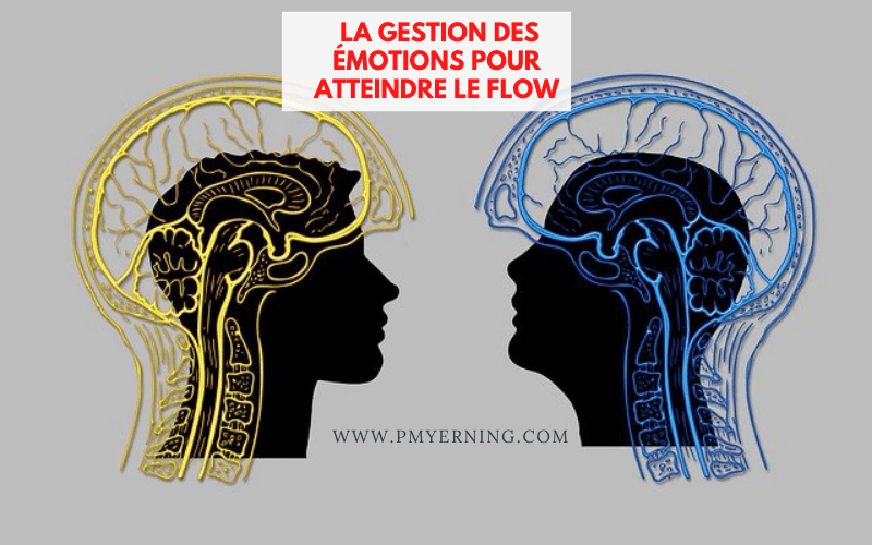 gestion des émotions et flow