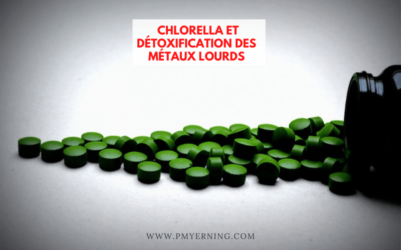 métaux lourds et chlorella