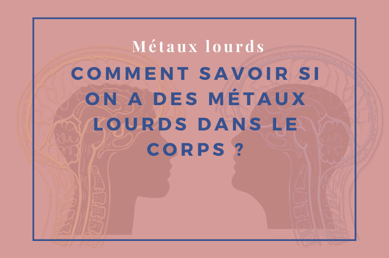 métaux lourds dans le corps