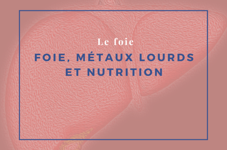 foie, métaux lourds et nutrition