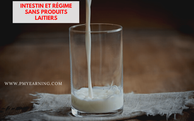 intestin et régime sans produits laitiers