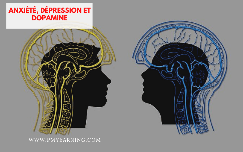 anxiété, dépression et dopamine