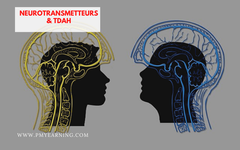 neurotransmetteurs et TDAH