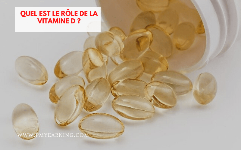 rôle de la vitamine D