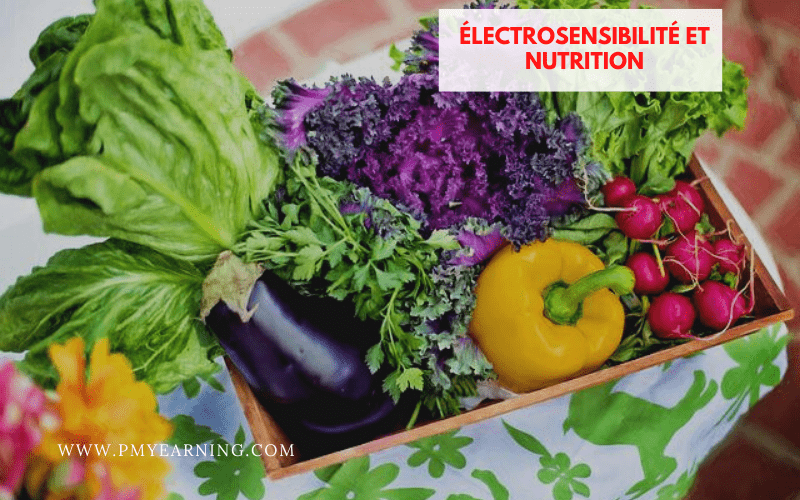 électrosensibilité et nutrition